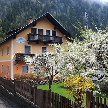 Säuleck Appartement inkl Kärnten Card Mallnitz Exteriör bild