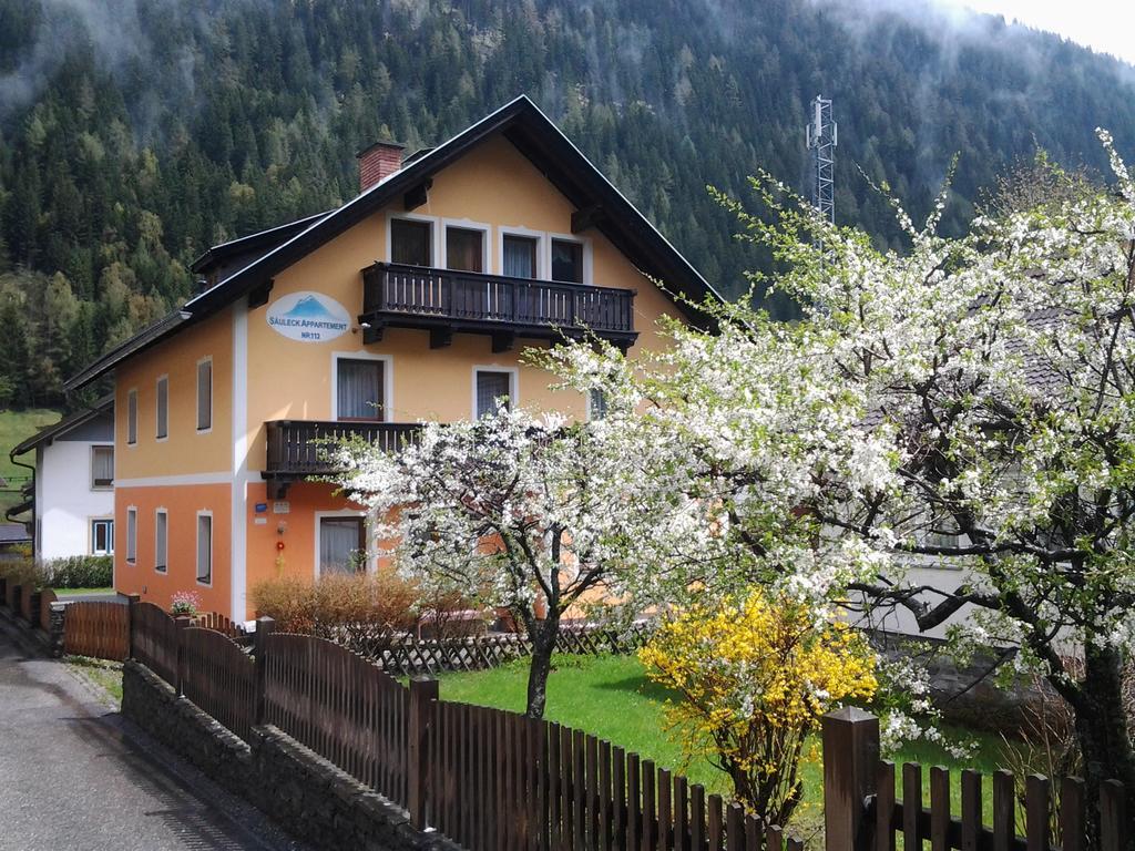 Säuleck Appartement inkl Kärnten Card Mallnitz Exteriör bild